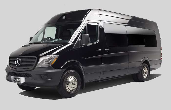 Executive sprinter 14 passengers fleet