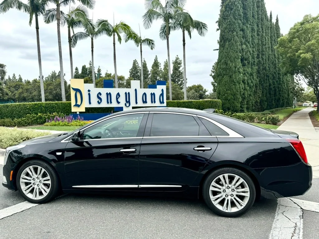 Best LAX to Disneyland Family Transfer Service